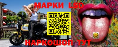 молекула духа Камышлов