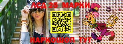 молекула духа Камышлов