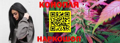 молекула духа Камышлов