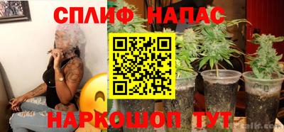 молекула духа Камышлов
