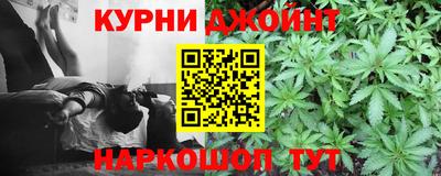молекула духа Камышлов