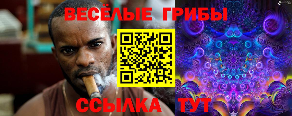 Псилоцибиновые грибы Cubensis  Вход с VPN  Кузнецк 